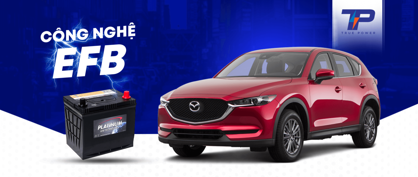 Ắc quy Platinum - Efb