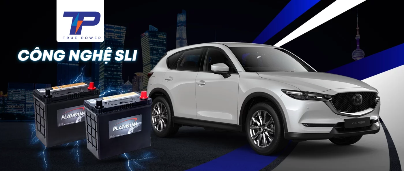 Ắc quy Thành Phát